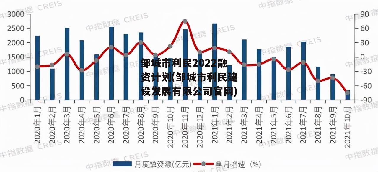 ޳2022ʼƻ(޳񡼽跢չ޹˾)