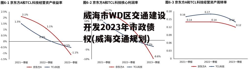 WDͨ迪2023ծȨ(ͨ滮)