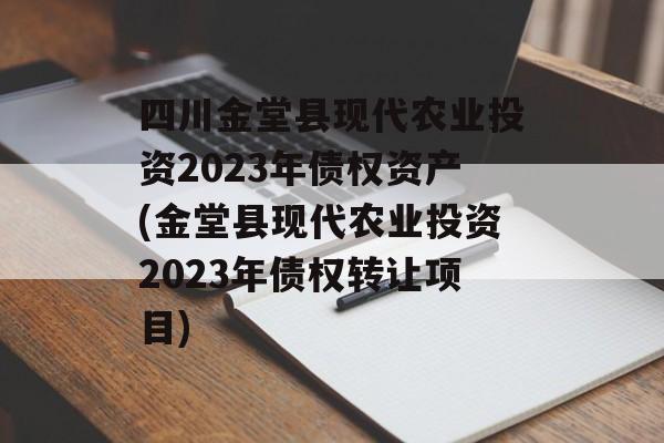 ĴִũҵͶ2023ծȨʲ(ִũҵͶ2023ծȨתäĿ)