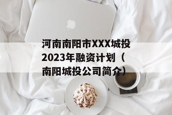 XXXͶ2023ʼƻͶǹ˾飩