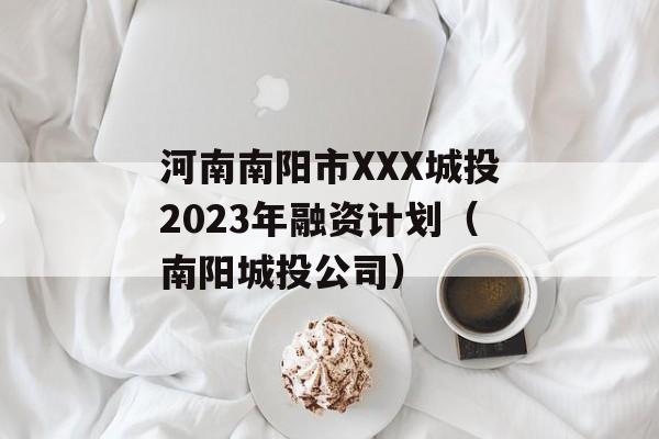 XXXͶ2023ʼƻͶ˾