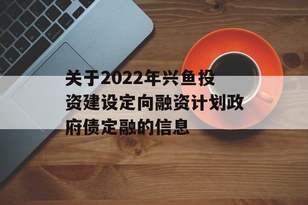 2022Ͷʽ趨ʼƻծڵϢ