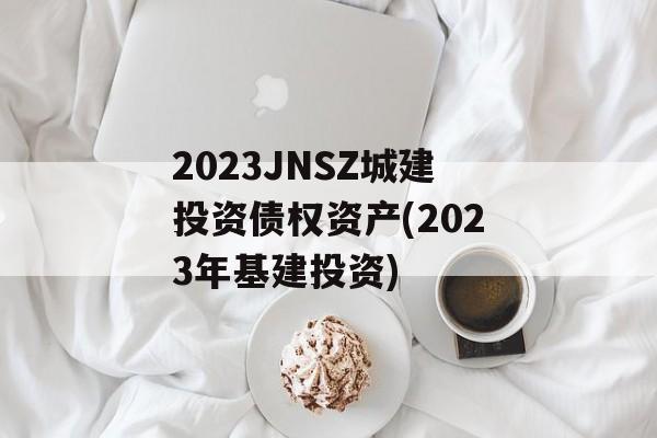 2023JNSZǽͶծȨʲ(2023Ͷ)