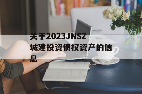 2023JNSZǽͶʡծȨʲϢ