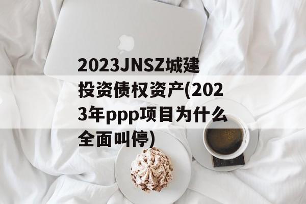 2023JNSZǽͶծȨʲ(2023pppĿΪʲôȫСͣ)