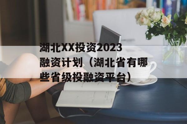 XXͶ2023ʼƻʡЩʡͶƽ̨