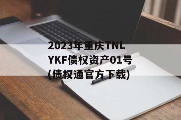 2023TNLYKFծȨʲ01(ծȨͨ ٷ)