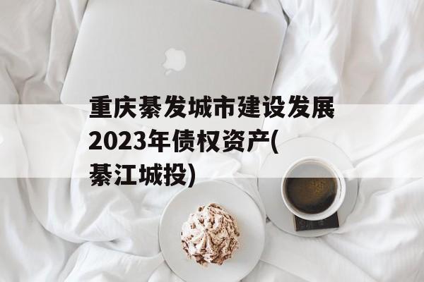 뷢н跢չ2023ծȨʲ(뽭Ͷ)