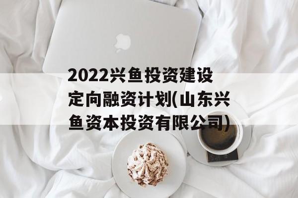 2022Ͷʽ趨ʡƻ(ɽʱͶޡ˾)