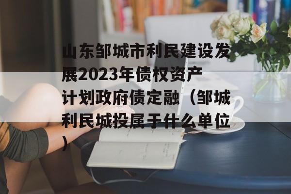 ɽ޳跢չ2023ծȨʲƻծڣ޳Ͷʲôλ