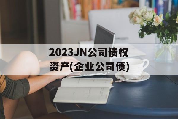 2023JN˾ծȨʲ(ҵ˾ծ)