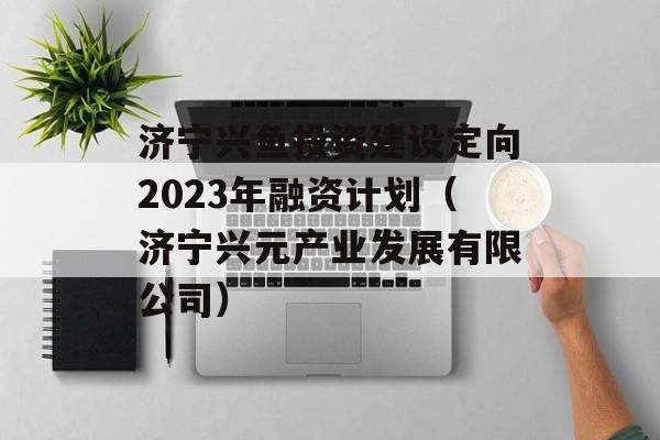 Ͷʽ趨2023ʼƻԪҵչ޹˾