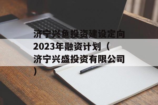 Ͷʽ趨2023ʼƻʢͶ޹˾