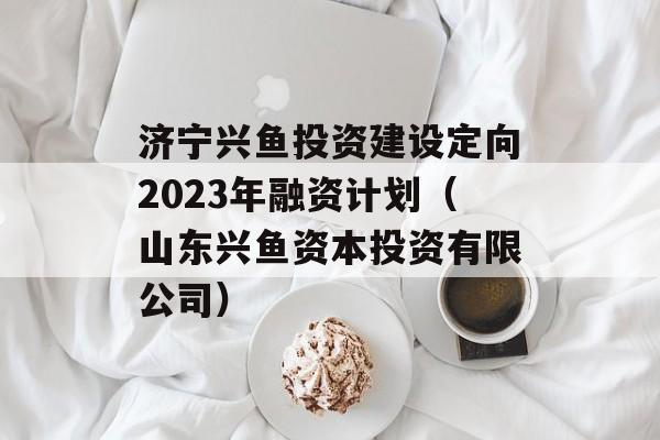 Ͷʽ趨2023ʼƻɽʱͶ޹˾