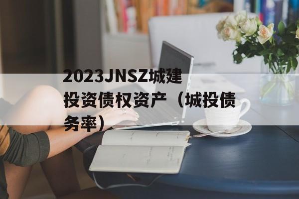 2023JNSZǽͶծȨʲͶծʣ