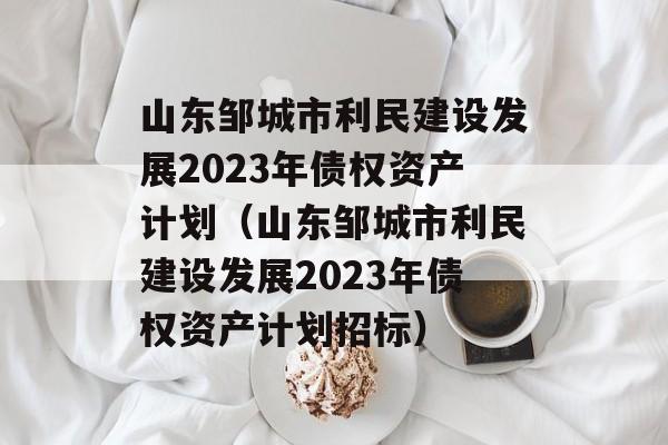 ɽ޳跢չ2023ծȨʲƻɽ޳񡺽跢չ2023ծȨʲƻб꣩