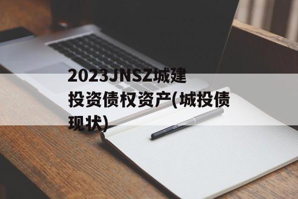 2023JNSZǽͶծȨʲ(ͶKծ״)