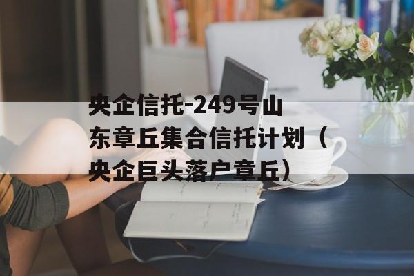 -249ɽ𼯺мƻͷ仧¡