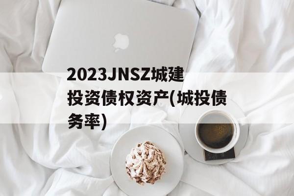 2023JNSZǽͶծȨʲ(Ͷծ)