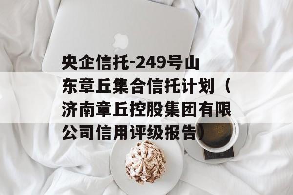 -249ɽ𼯺мƻعɼС޹˾棩