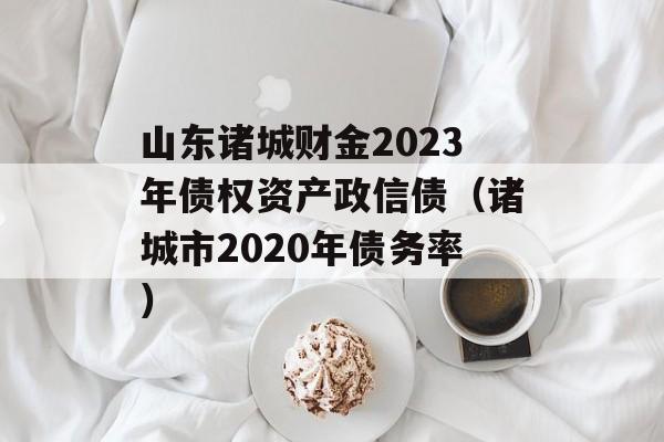 ɽǲƽ2023ծȨʲծ2020ծʣ