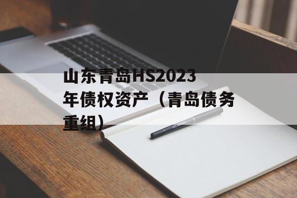 ɽൺHS2023ծȨʲൺծ飩