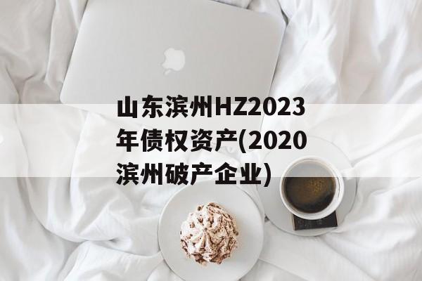 ɽHZ2023ծȨʲ(2020Ʋҵ)