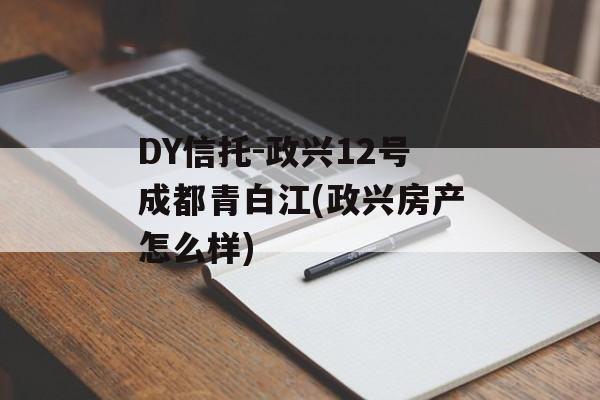 DY-12ųɶ׽(ˡơô)