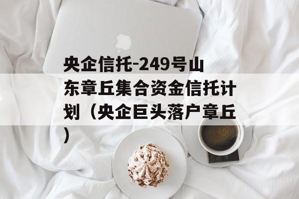 -249ɽ𼯺ϡʽмƻͷ