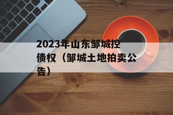 2023ɽ޳ǿծȨ޳棩