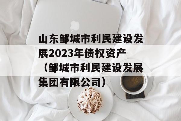 ɽ޳跢չ2023ծȨʲ޳跢չ޹˾