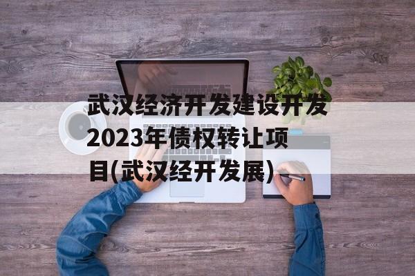 人ÿ 迪2023ծȨתĿ(չ)