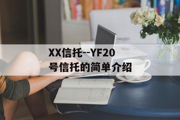 XX--YF20еĨL򵥽