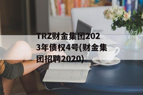 TRZƽ2023ծȨ4(ƽ𼯡Ƹ2020)