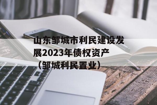 ɽ޳跢չ2023ծȨʲ޳èҵ