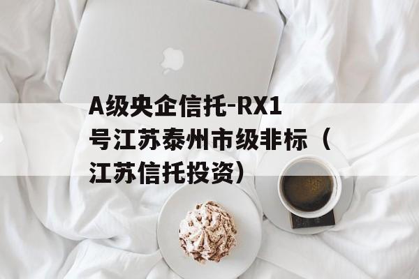 A-RX1Ž̩мǨ꣨աͶʣ