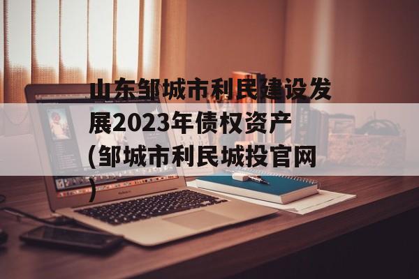 ɽ޳跢չ2023ծȨʲ(޳Ͷ)