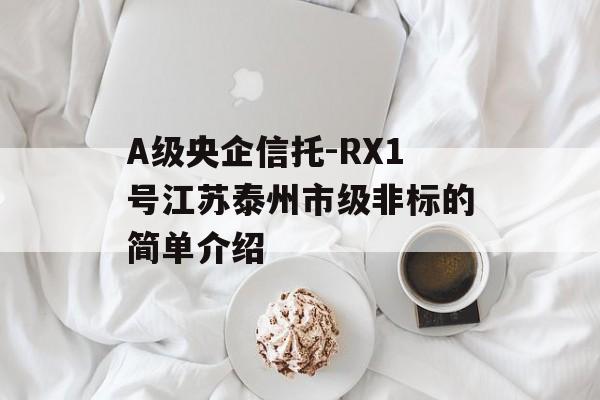 A-RX1Ž̩СơǱļ򵥽