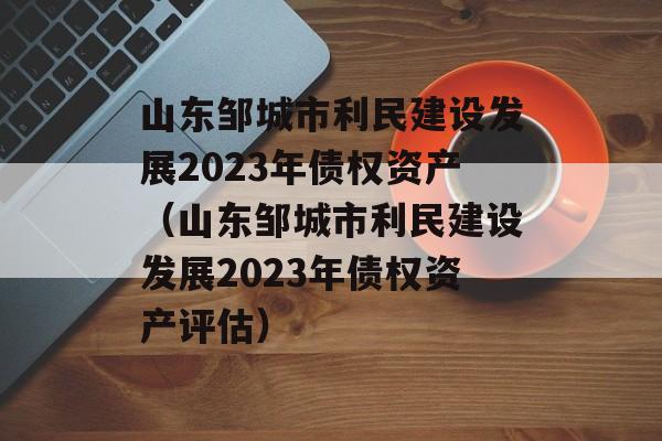 ɽ޳跢չ2023ծȨʲɽ޳跢չ2023ծȨʲ